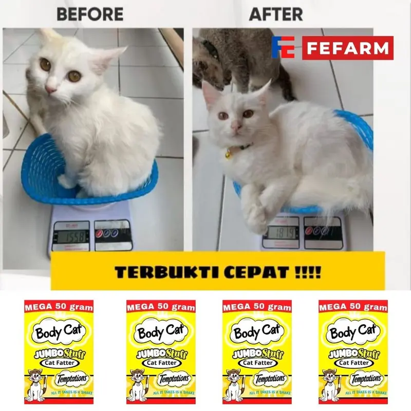 Suplemen Penggemuk Kucing Body Fat 50gr FEFARM 3