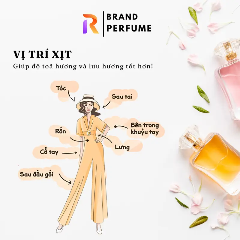 Nước Hoa Nhập Khẩu CARLOTTA lưu hương 6-8 tiếng, Mùi HươngThơm mát của trà, trầm lặng, cuốn hút NO.276 - 10ML 4