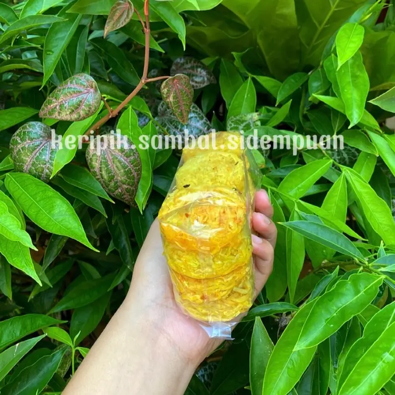 Kerupuk Cakar Ayam ASIN/Sarang Balom ASIN/Sarang Burung ASIN isi 12 PCS 8