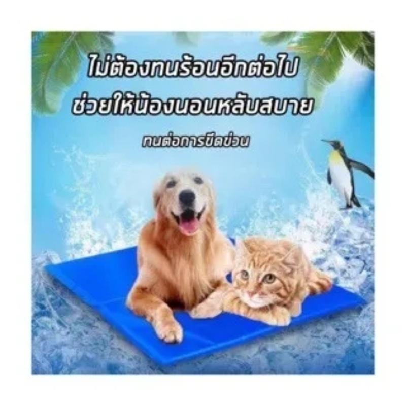 Product Introduction of DULEPIG สัตว์เลี้ยง ที่นอนเจลเย็น แผ่นเจลเย็นสุนัข ที่นอนเจลเย็น แมว Pet cool mat ผ้าระบายความเย็น เจลเย็นหมานอน สินค้าดี ราคาถูก สัตว์เลี้ยงเสื่อน้ำ พร้อมส่งในประเทศไทย ขนาด XS  S  M L 40*30cm 90*50cm ที่นอนสุนัข 28