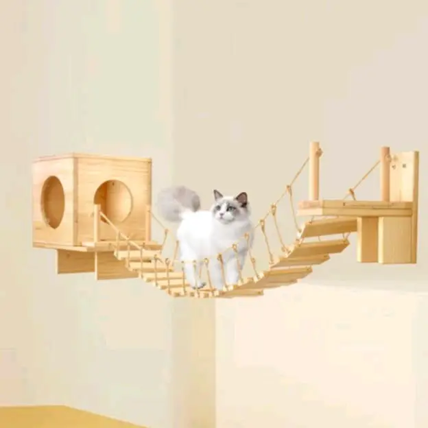 rumah kucing cat wall house - Shop | Tokopedia