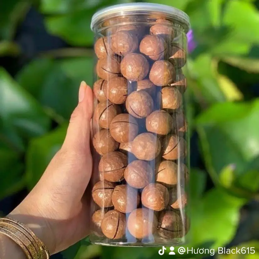 Hạt mắc ca còn vỏ size trung - 500 gram