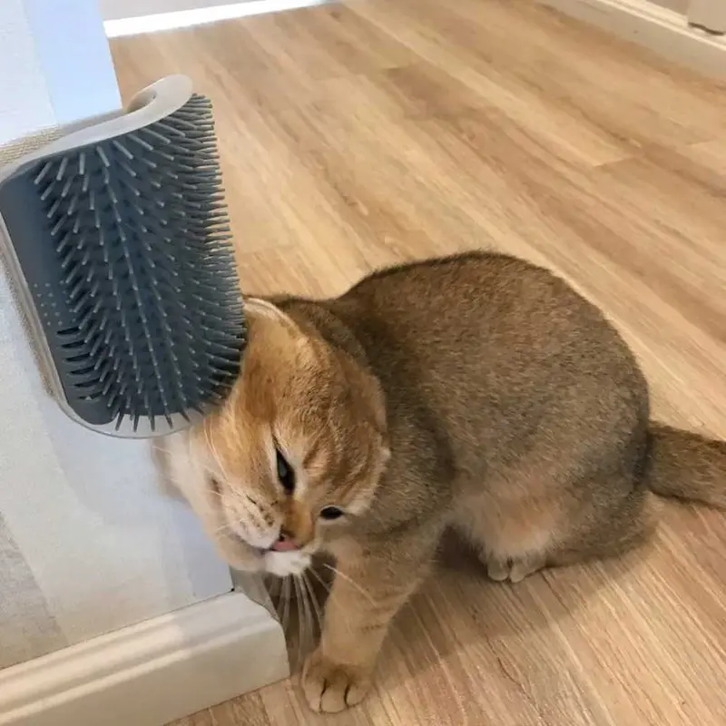 Garukan Kucing Tempel Tembok Cat Brush 0