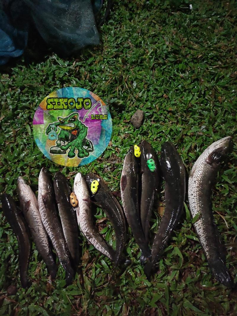 Product Introduction of Lure Soft Frog Mini umpan pancing Ukuran 3cm Berat 5grm Untuk Mancing Casting Ikan Gabus 8