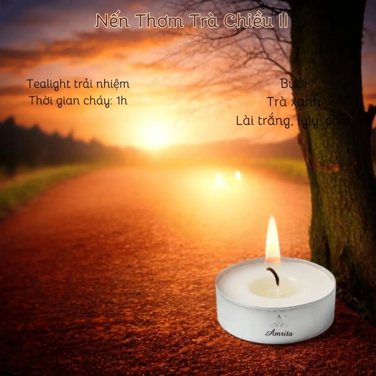 Tealᶖght Nến Thơm Trà Chiều II - 1 Giờ Tỏa Hương