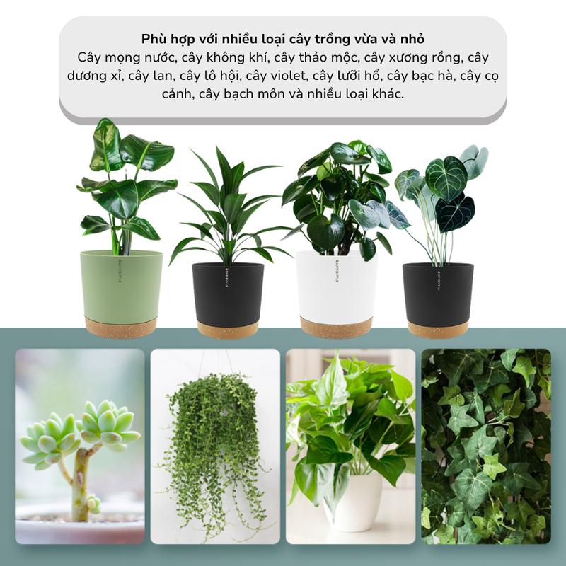 Product Introduction of Chậu trồng cây tự tưới thông minh MONROVIA cho hoa, cây cảnh trong nhà và ngoài trời hình trụ tròn 9