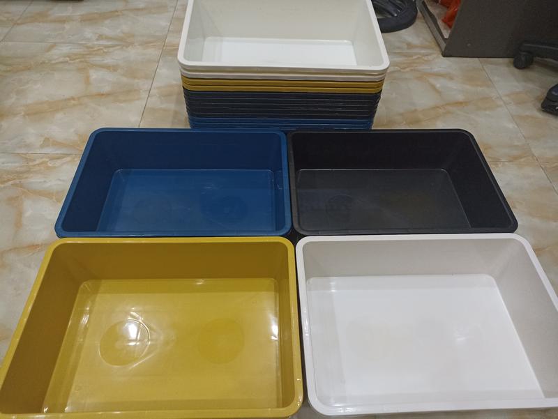 Khay nhựa nuôi cá 16 lít - kích thước 50x35x14