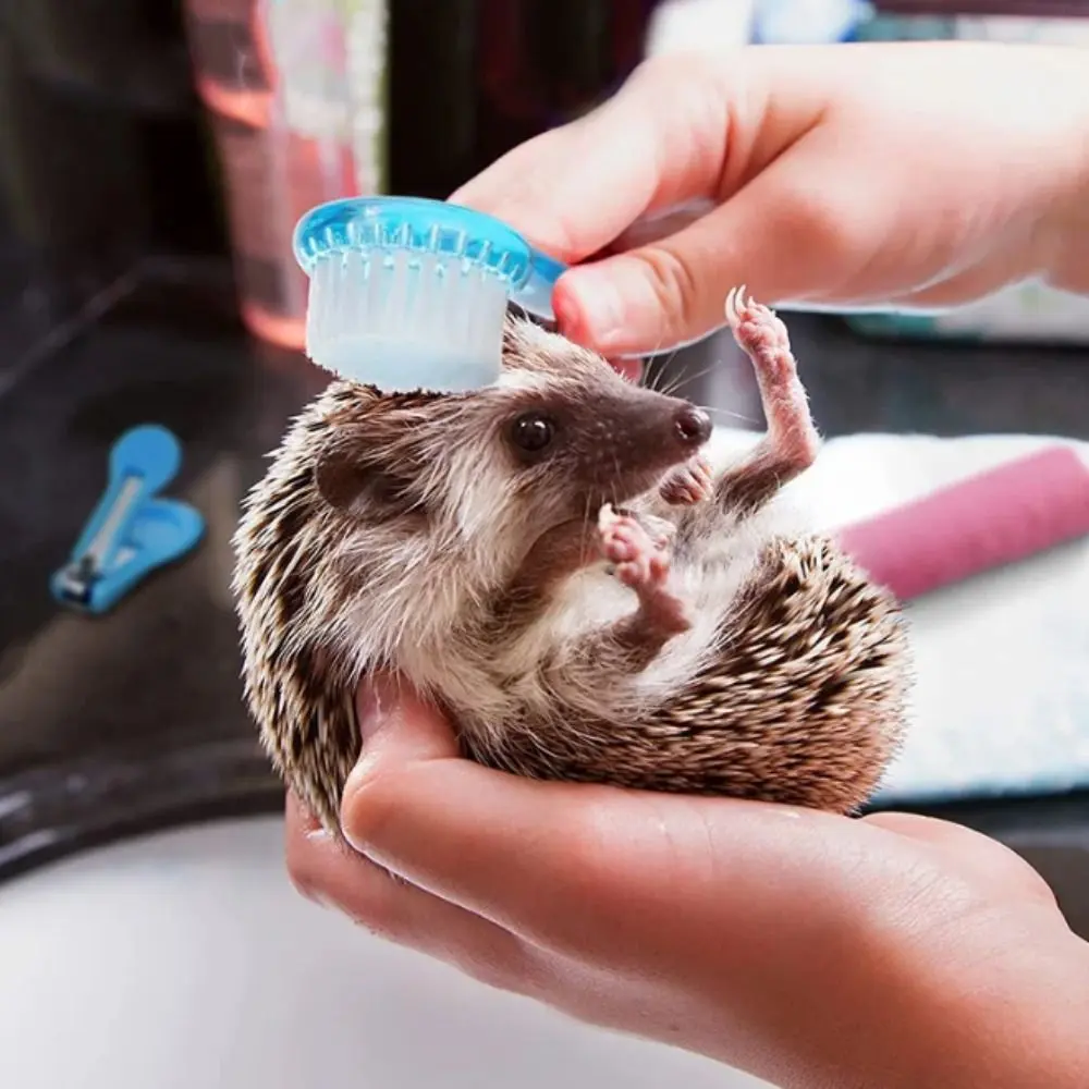 Portable Soft Small Hamster Brush Long Hair Round Head Bear Cleaning Comb Bath Mini Brush Plastic Guinea Pig Massage Combs Grooming