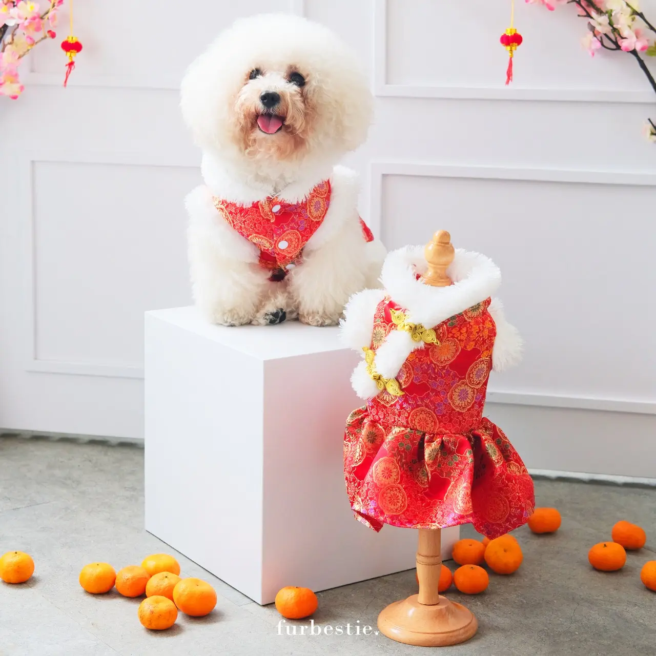 Furbestie by Pomapoo - Baju Kucing dan Baju Anjing Furry Changsan Red dan Furry Cheongsam Red