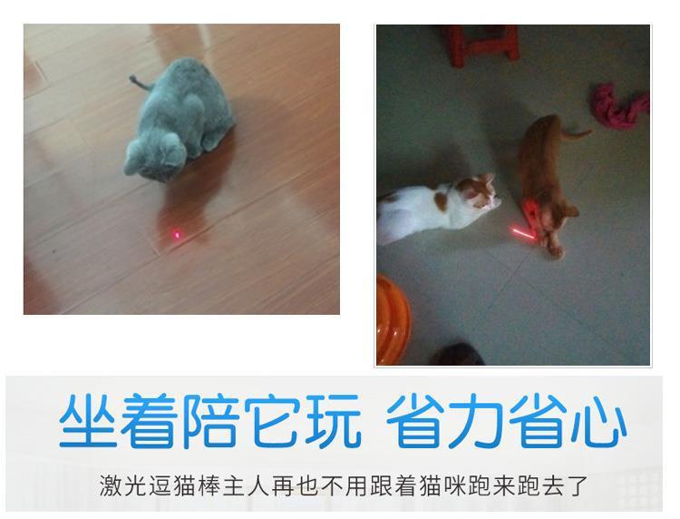 Product Introduction of Cat Toy 2-in-1 Red Laser Teaser Wand Toy 6