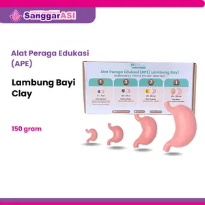 [Sanggar ASI] APE) Ukuran Lambung Bayi Clay Exclusive Handmade (