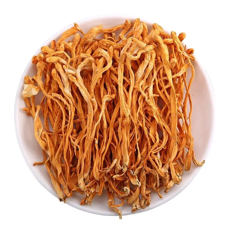 Đông Trùng Hạ Thảo Sấy Khô 100Gr Sợi To Đẹp