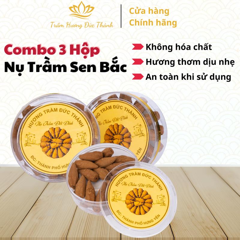Combo 3 Hộp Nụ Sen Bắc - Không Kèm Lư - Hương Trầm Tự Nhiên – Giúp Thanh Tịnh, Khử Mùi, Hút Tài Lộc - Dùng Cho Xông Nhà, Thiền Định, Thư Giãn 0