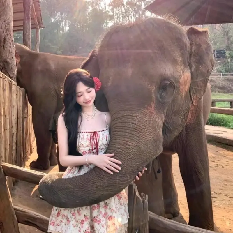 Sét váy 2 dây tiểu thư họa tiết hoa lá phối ren kèm áo khoác bèo dễ thương đi du lịch Đà Lạt,đi biển, chụp hình , sống ảo  siêu xinh cho nữ - Women 1