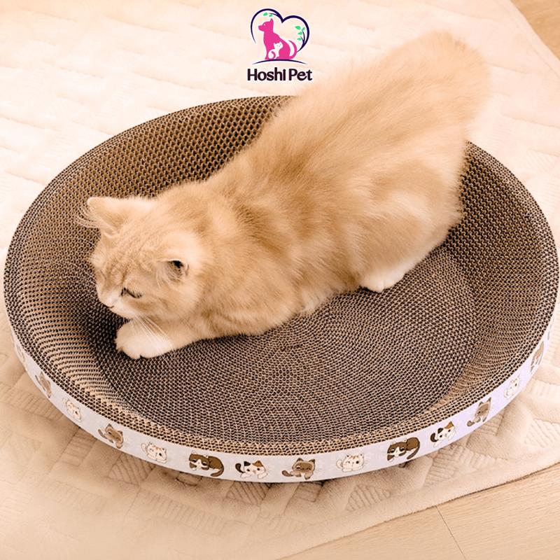 Bàn cào móng cho mèo hình tròn nhiều kích thước Hoshi Pet BM03 - Đồi chơi cho mèo