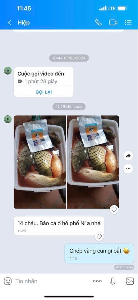 Product Introduction of Cám Chuyên Chép Thế Anh Fishing ( 600g ) bao móm hạng nặng cho anh em câu đài dịch vụ và tự nhiên. Phù hợp với cả chép cũ chép mới . Chép giòn chép thường #cauca #fishing#fish#bigfish#ThếAnhFishing Đi Câu Câu Cá Bắt Cá 16