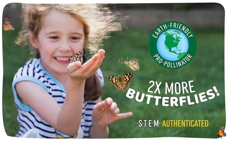 Butterfly Garden Live Insect Lore Kit 5 Educational Live Caterpillars Hatching Insect Butterflies Grows By Kids Butterflies Life Bugs Grows Net Learning Biology School Food Butterfly Garden Live Insect Lore Kit 5 Educational Live Caterpillars Hatching Insect Butterflies Grows By Kids Butterflies Life Bugs Grows Net Learning Biology School Food
