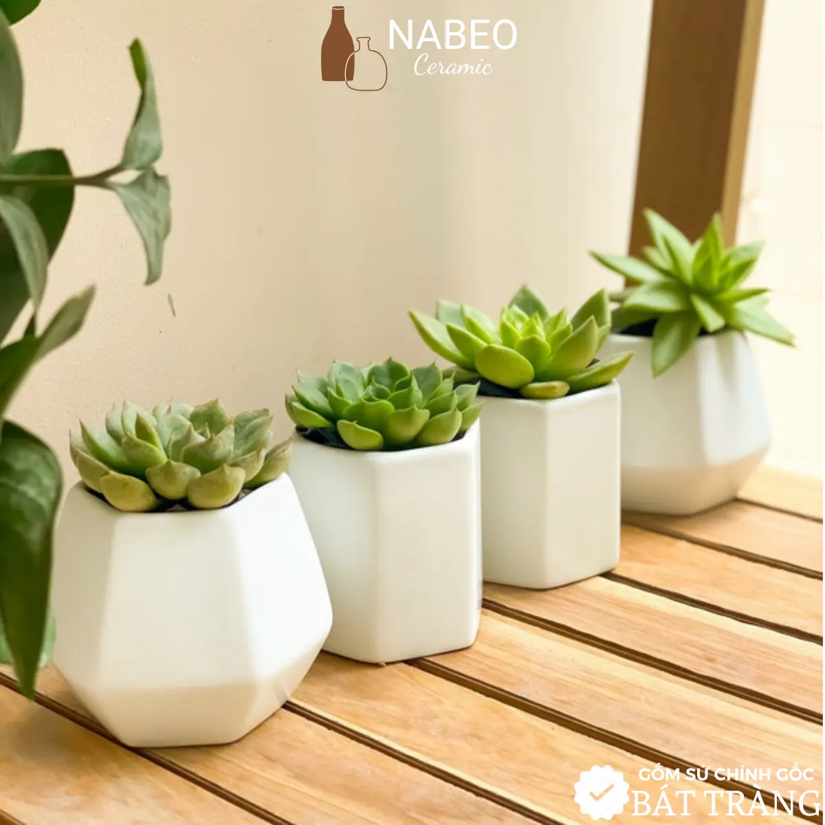 Chậu Mini Sứ Trắng Trồng Sen Đá, Cây Nhỏ, Trang Trí Bàn Làm Việc, Bệ Cửa Sổ - Gốm Sứ Bát Tràng