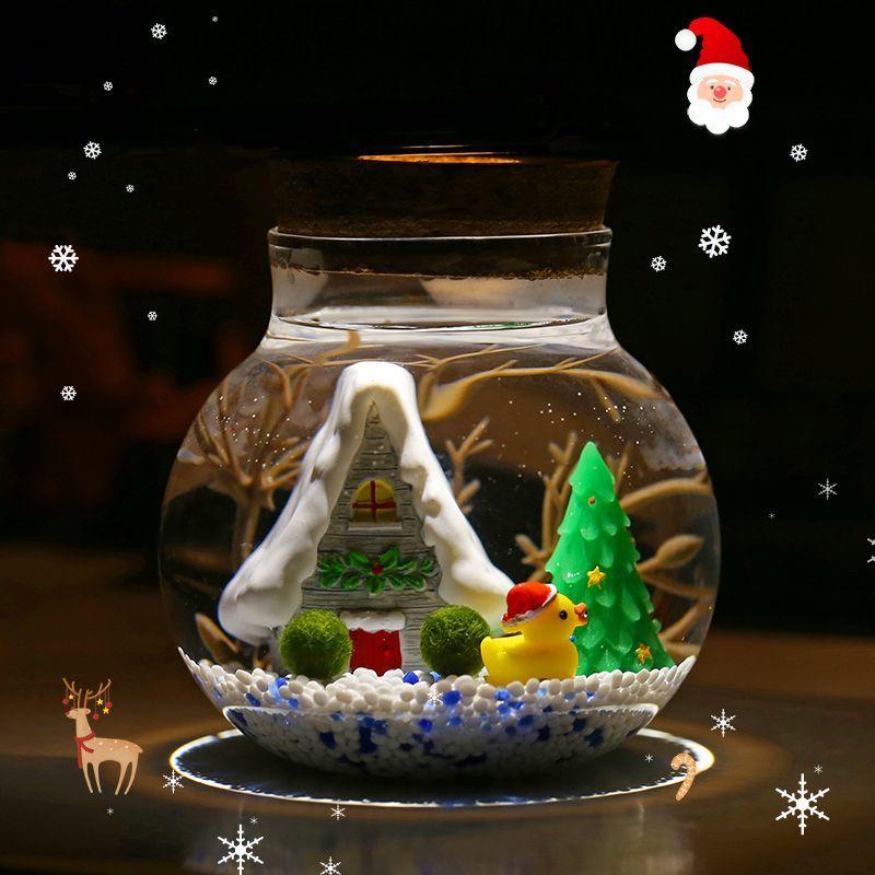 Desk Marimo High Quality in Stock-Happy Seaweed Ball Marimo Micro Landscape ...