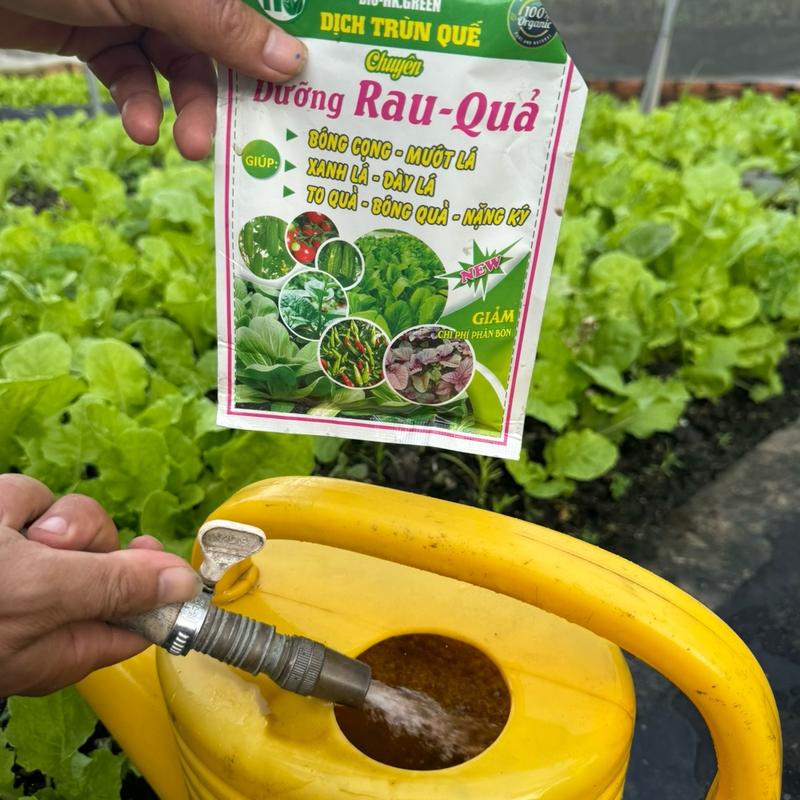 Túi 100ml dinh dưỡng trùn quế dùng cho rau củ quả. 2