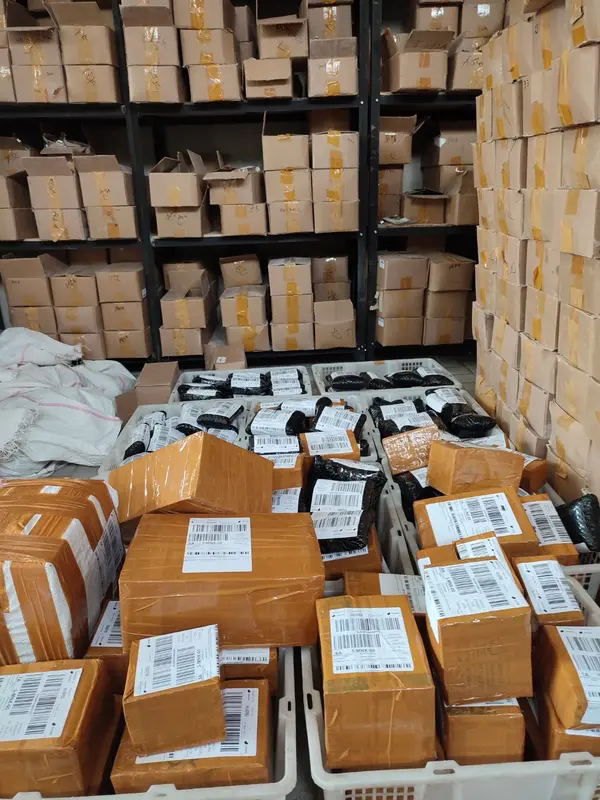 Obat Semprot Tanaman Cabe Pupuk Anti Keriting dan Atasi Daun Kuning Pada Cabe Pupuk Anti Hama Cabe Booster Cabe Cepat Berbuah Lebat Bunga 4