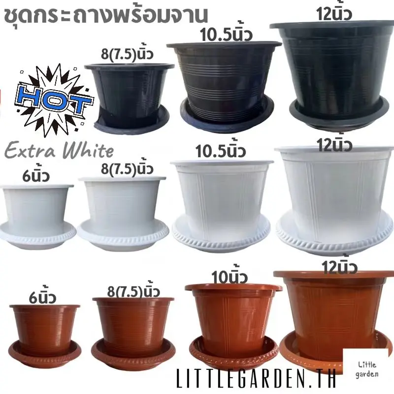 Little ชุดกระถางพร้อมจาน 8 นิ้ว 10 นิ้ว 12 นิ้ว 6 นิ้ว