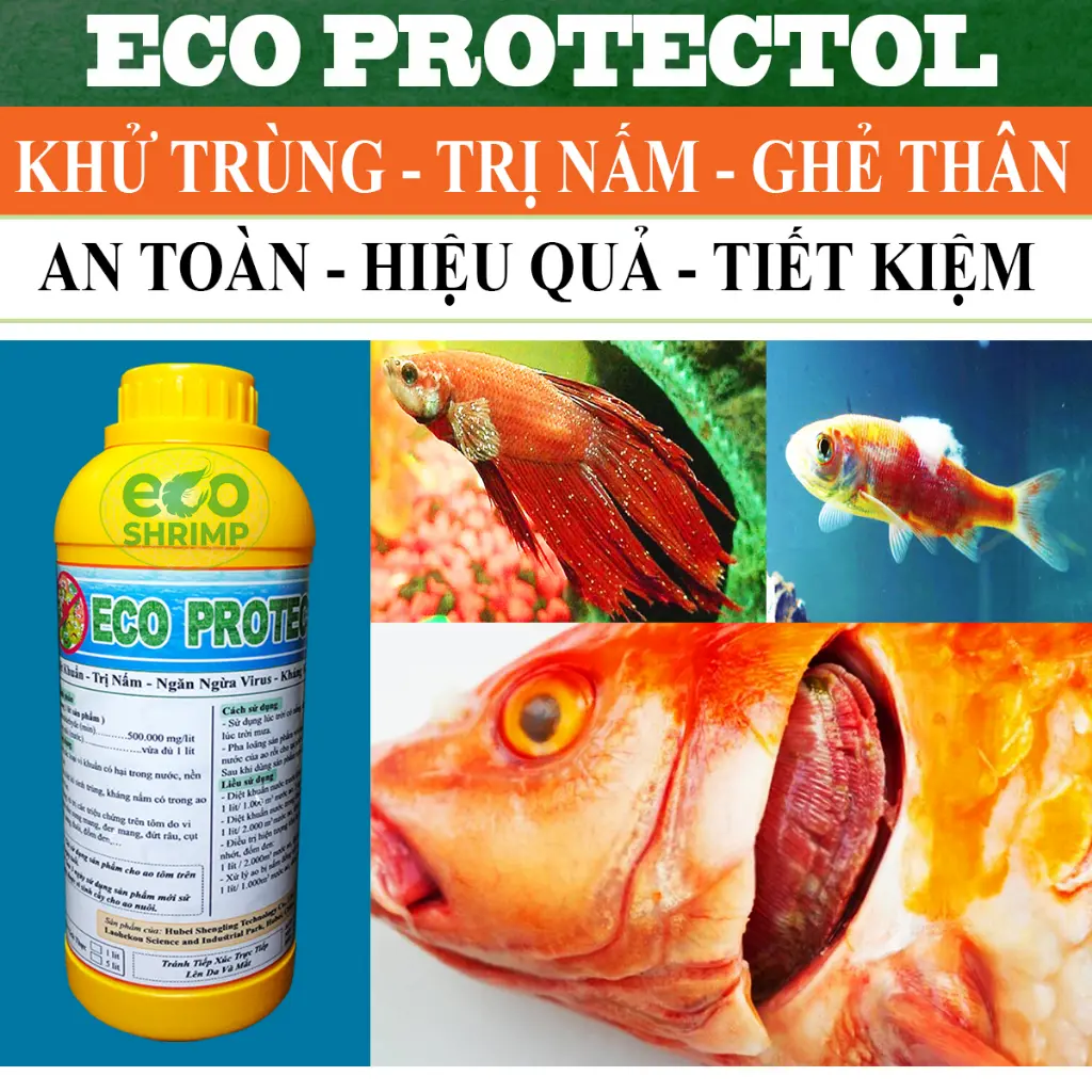 Eco Protectol - Khử Trùng, Trị Nấm, Ghẻ Thân Cho thủy Sản Tôm Cá - Chai 1 lit