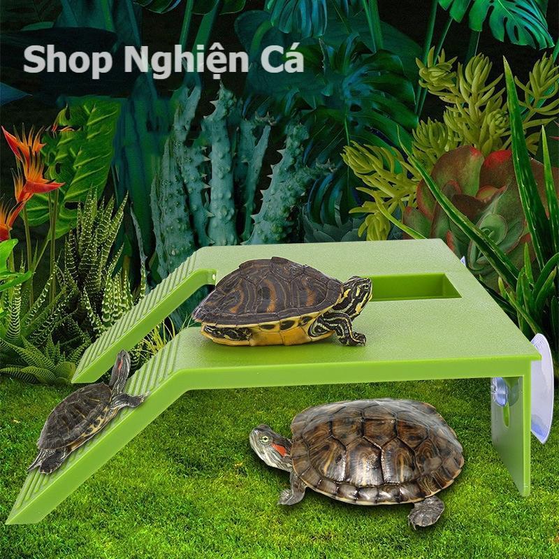  Máng leo cho rùa - phụ kiện trang trí bể nuôi rùa bò sát bằng nhựa đất lót 