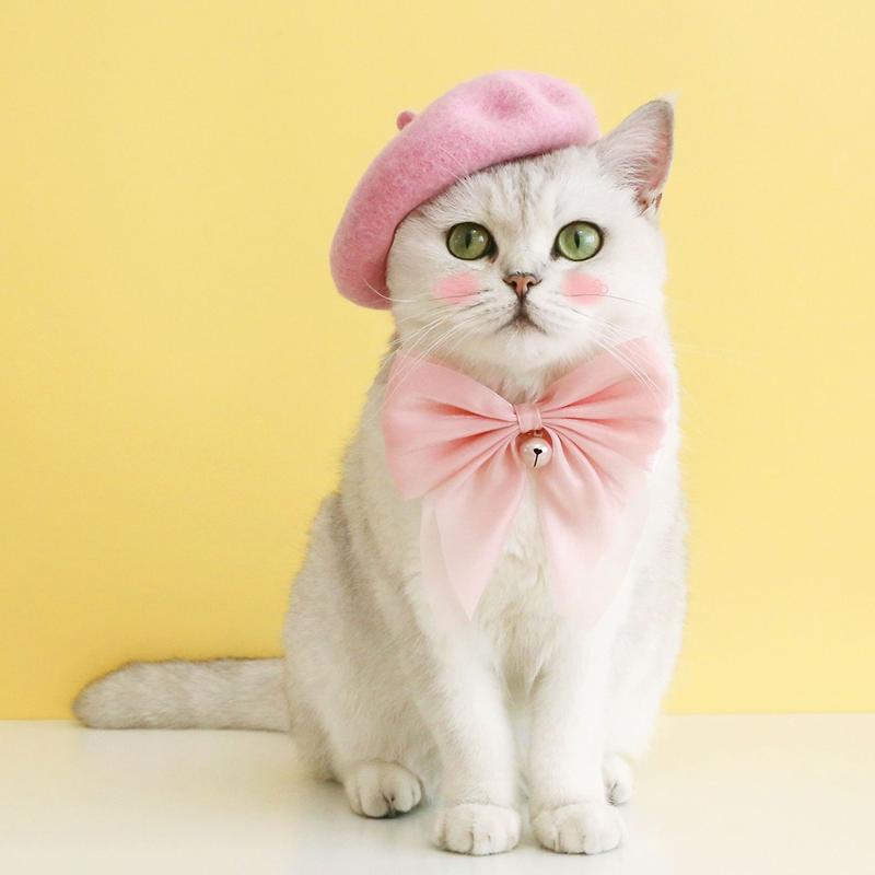 Pet Cat Dog Hat and Bow Collar Cute Soft Beret Adjustable Bow Collar Kitten Puppy Hat Collar Set Pet Accessories 7