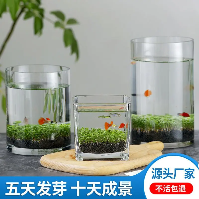 Terrarium Máy Tính Để Bàn Bể Cá Thủy Sinh Bể Thủy Sinh, Hộp Đựng Hoa Thủy Tinh, Sáng Tạo Tự Làm, Bể Cá Cảnh Nhà, Với Nước, Bùn Cỏ, Hạt Giống, 2024