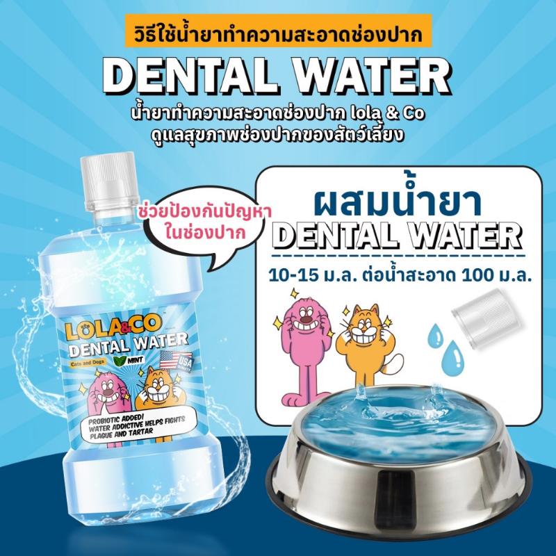 Product Introduction of COD Lola & Co ผลิตภัณฑ์ทำความสะอาด คุณภาพอเมริกา 40