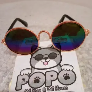 kacamata korea hewan kucing anjing