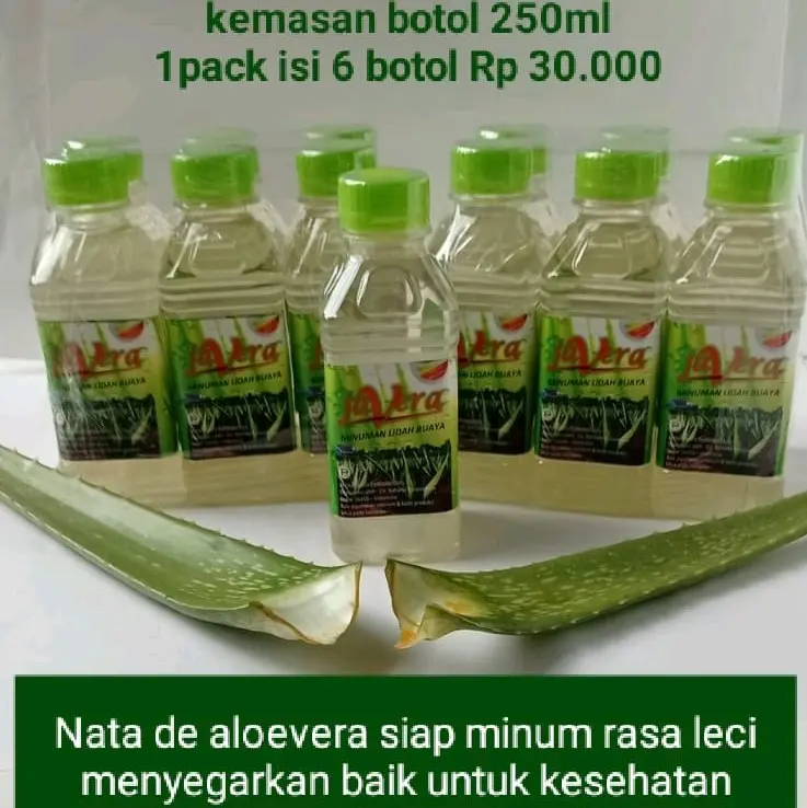 minuman lidah buaya aloevera rasa leci Organik Rendah gula Botol Alami 0