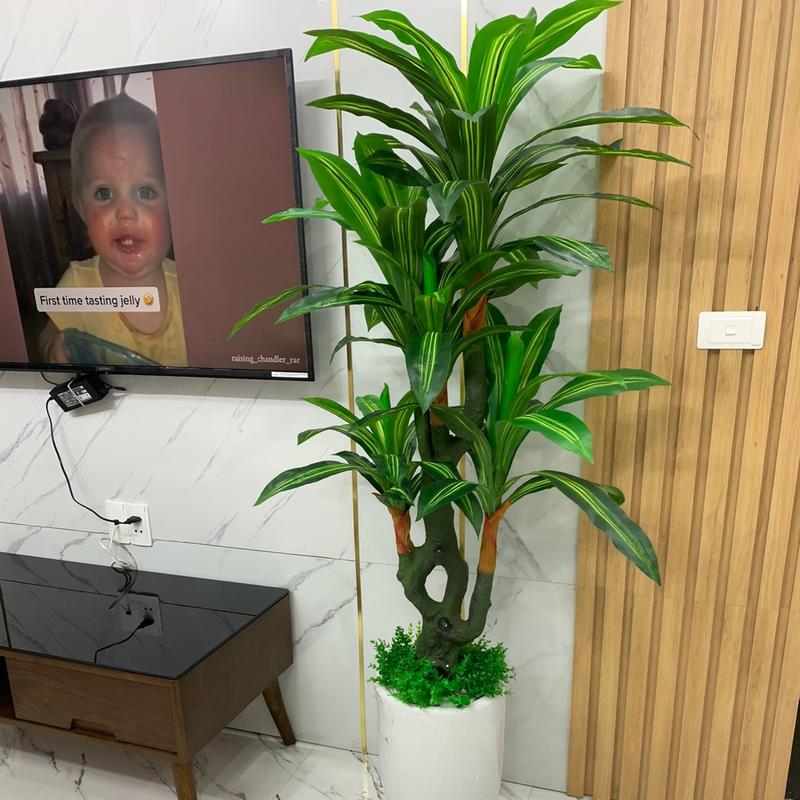 Cây thiết mộc lan khối 1m5 giả , cây nhân tạo