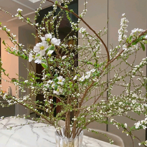 Diệu Minh-AnNhiên