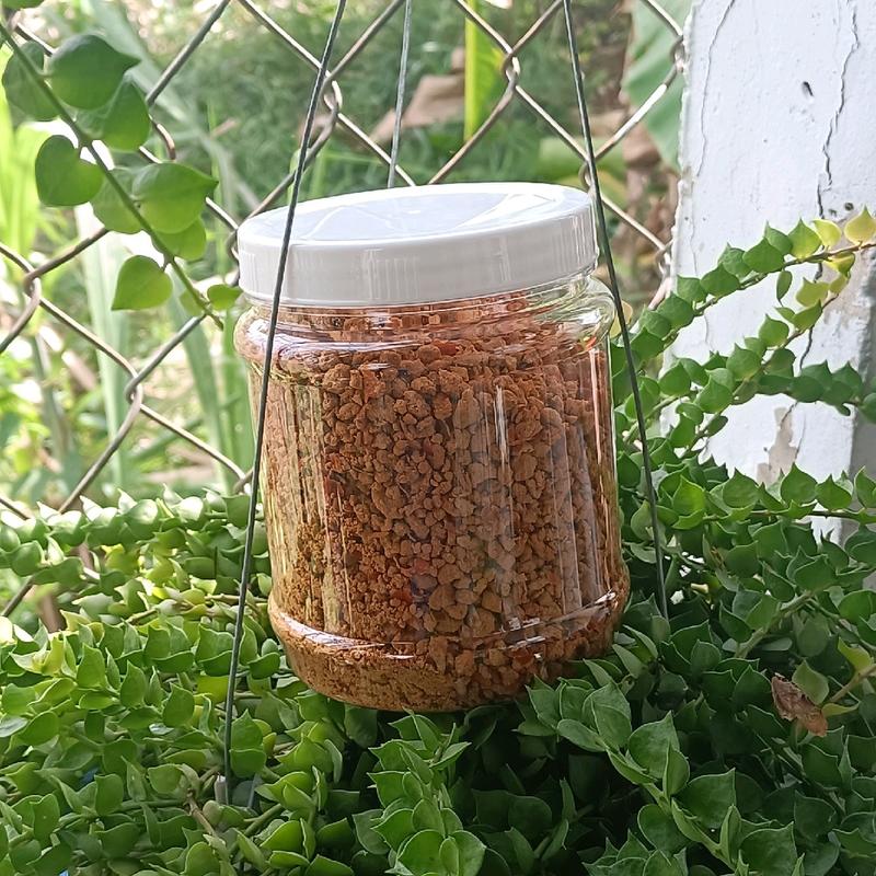 Muối Tôm Tây Ninh Hũ 500gr - Gia Vị Tự Nhiên, An Toàn Thực Phẩm 8