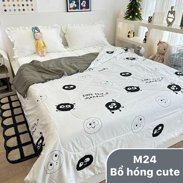 Product Introduction of Chăn hè xơ đậu nành 6