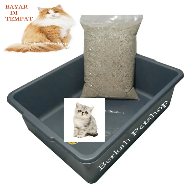 3 in 1 Box serokan pasir untuk pup kucing 2