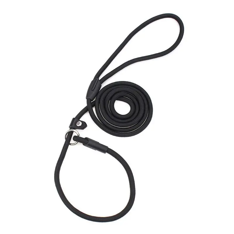 Nylon Dog Leash, Pet Lead With Buckle, Adjustable Pet Walking Leash for Dogs & Cats 6