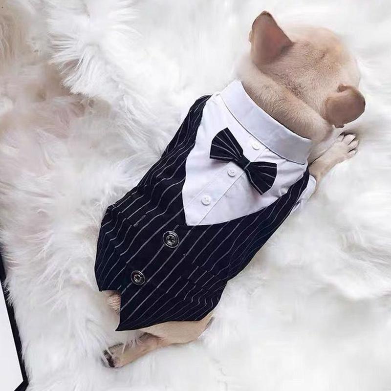 Bộ Đồ Thú Cưng Có Nơ, Trang Phục Ngắn Tay Cho Mèo, Bộ Đồ Đám Cưới Cho Chó, Áo Sơ Mi Trang Trọng Cho Chó Nhỏ 1