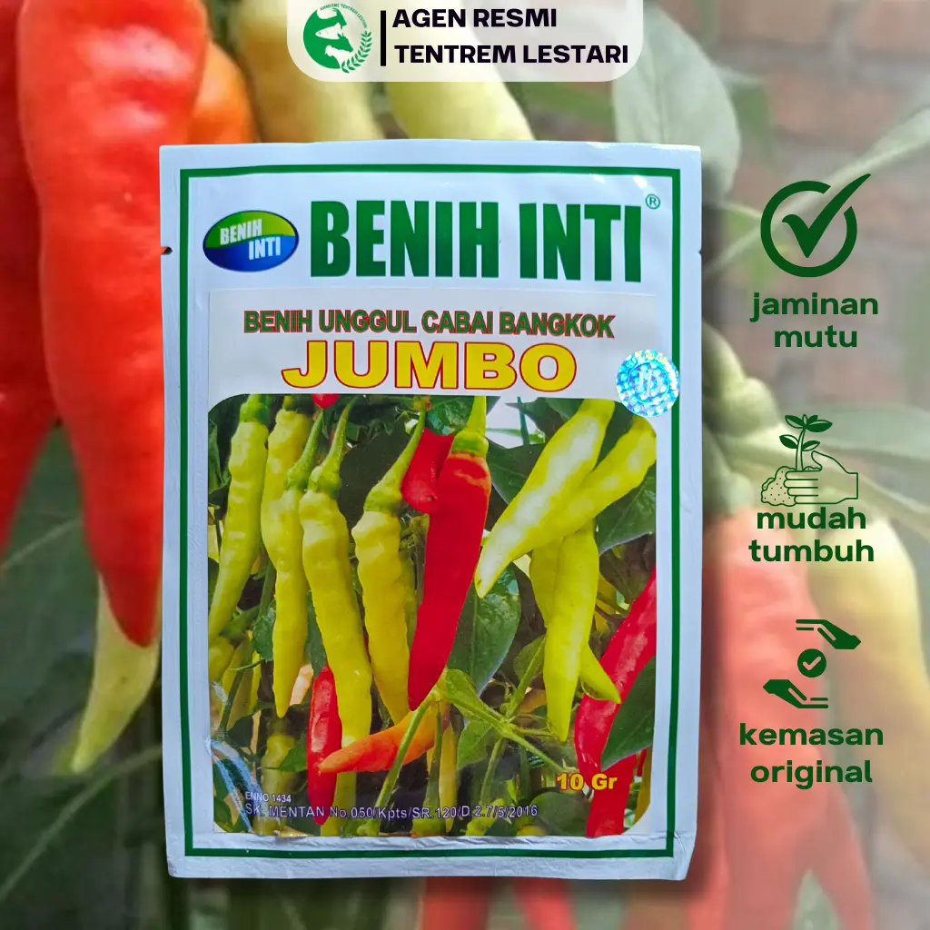 Benih Cabe Rawit Bangkok JUMBO 10 gram Asli Cap Benih Inti
