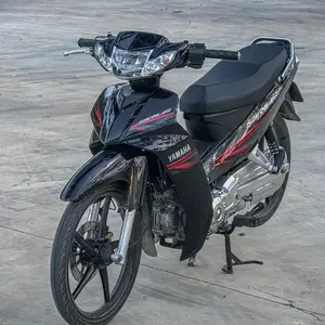 Nguyên Nguyên 1305