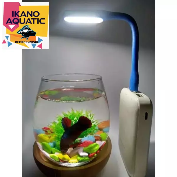 Lampu LED USB MINI Model Sikat Super Terang Flexible harga untuk 3 Biji Warna Random