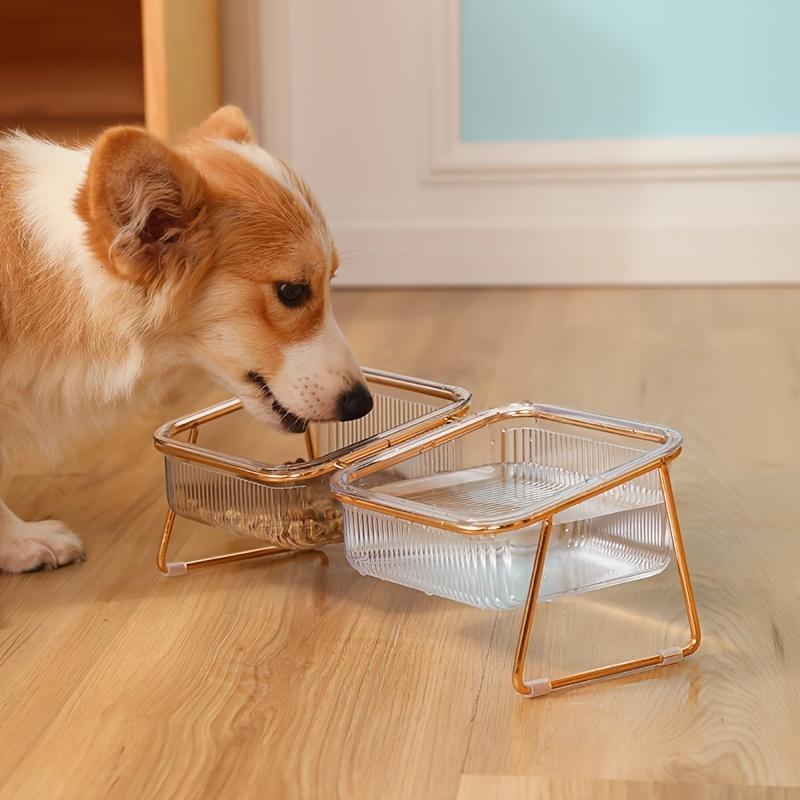 Transparent Three-dimensional Design Double  Bowls For Easy Feeding And Hydration - Ideal Pet Supplies camera collar pet slow feeder raised bowl cat water fountain dog walking hands free 6