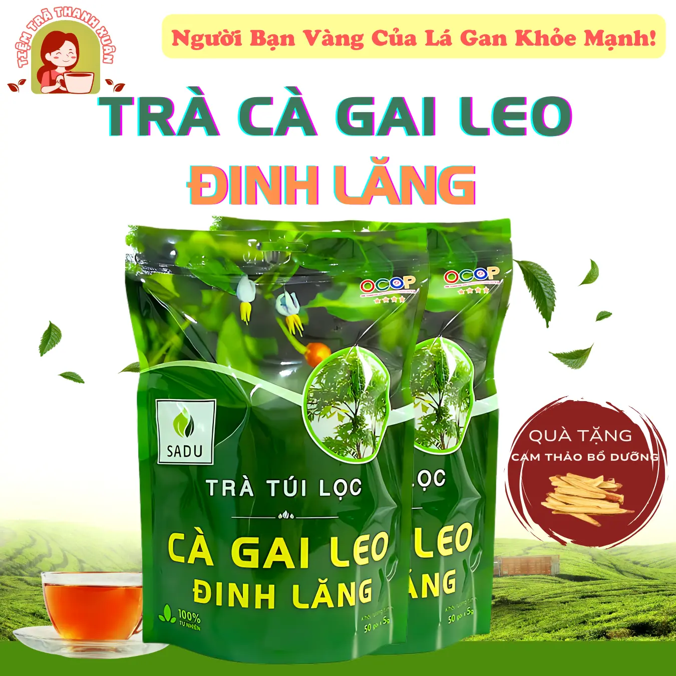 Trà Cà Gai Leo Đinh Lăng SADU 500g (100 túi lọc) Hỗ Trợ Thanh Nhiệt Giải Độc Mát Gan - Nước Trà Tea Chè càgaileo Không Chua