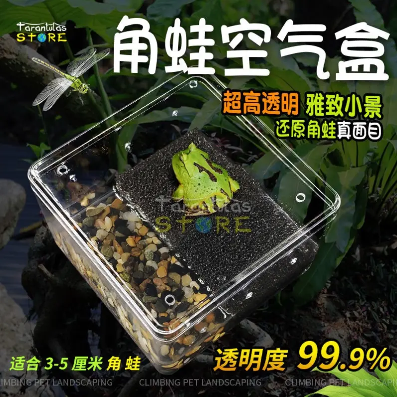 Acrylic Landscape Feeding Box with Lid Ceratophrys Feeding Box Turtle Jar Pet Climbing Cylinder Transparent Special Amphibious High