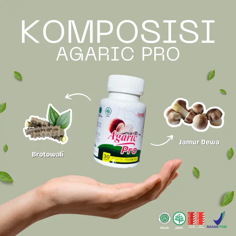 Agaric Pro AgaricPro Original untuk mengurangi Kolesterol coq 10 6