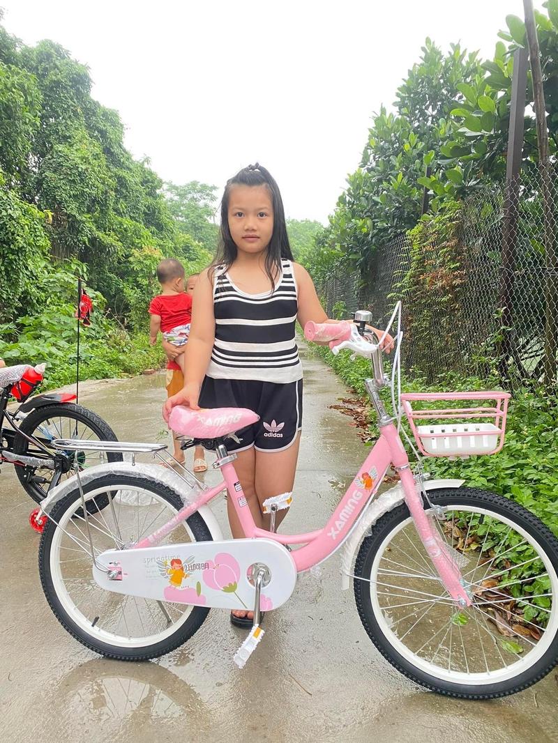 Product Introduction of Xe đạp xaming ốp xích bướm cho bé gái size 16,18,20 1