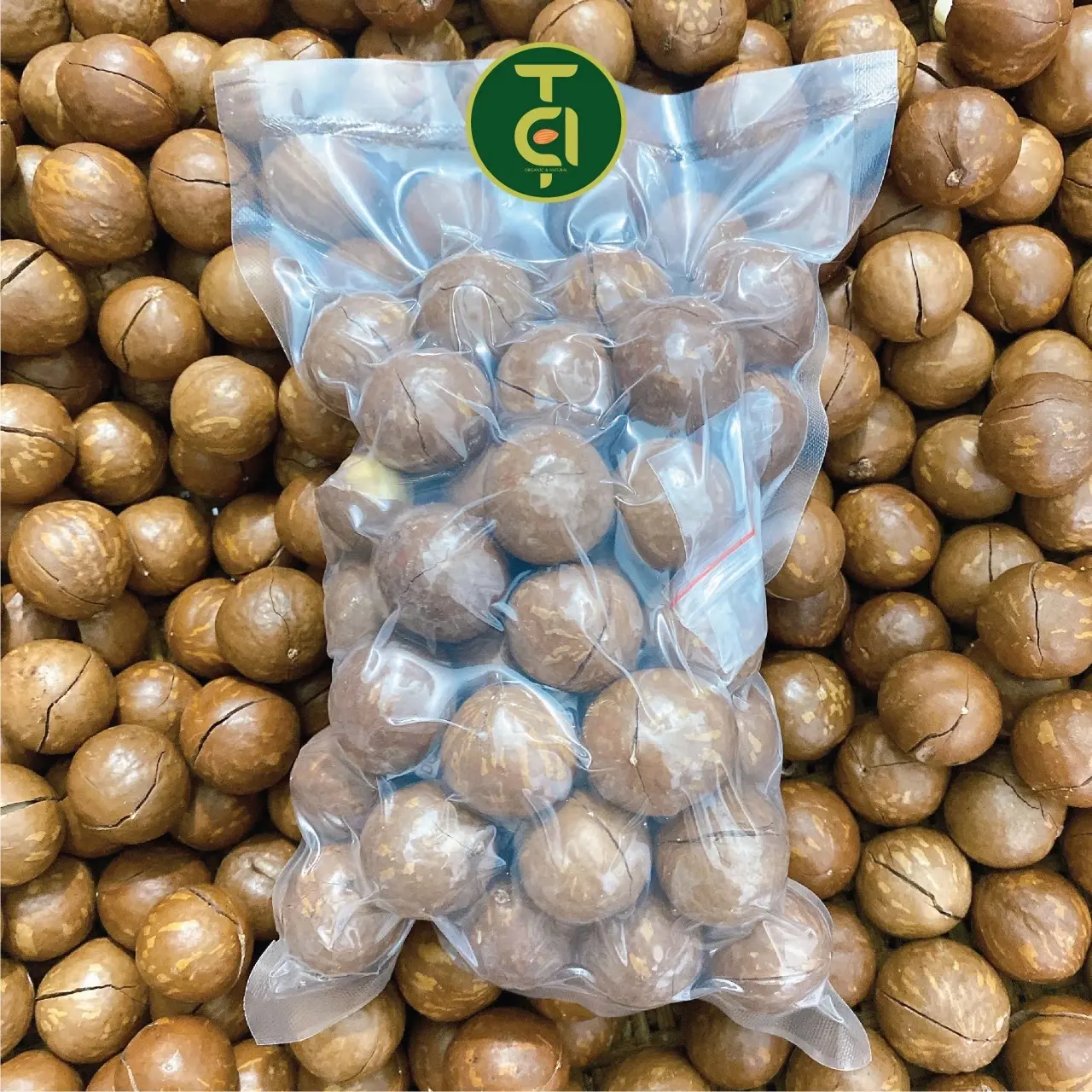 500G Hạt Macca Đắk Lắk nứt vỏ size Đại Ăn Vặt Nuts Food