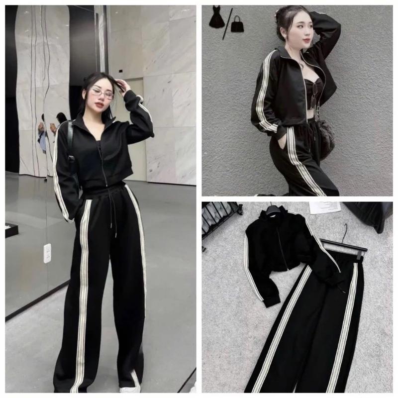 bộ nỉ nữ thu đông 3 món local brand chất vải nỉ bông cotton 0